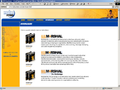 Internet security and IT solutions company
